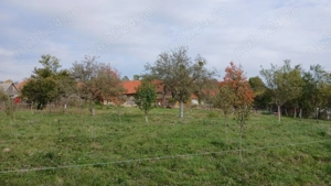 Loc de casă cu livadă și corp de clădire - imagine 8