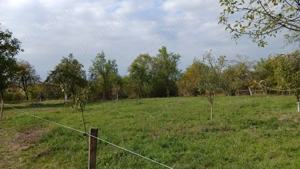 Loc de casă cu livadă și corp de clădire - imagine 9