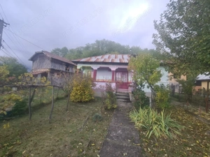 Casa batraneasca cu teren (4.910 mp) la Alunis - imagine 11