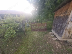 Casa batraneasca cu teren (4.910 mp) la Alunis - imagine 8