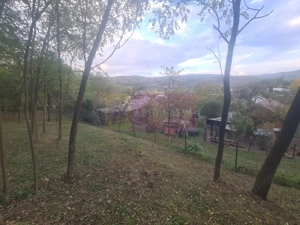 Casa batraneasca cu teren (4.910 mp) la Alunis - imagine 16