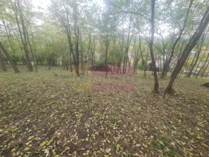 Casa batraneasca cu teren (4.910 mp) la Alunis - imagine 15