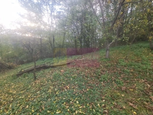 Casa batraneasca cu teren (4.910 mp) la Alunis - imagine 19