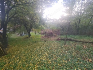 Casa batraneasca cu teren (4.910 mp) la Alunis - imagine 18