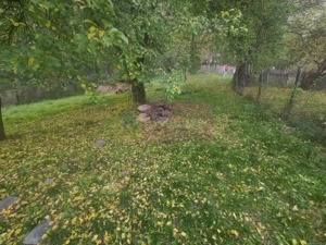 Casa batraneasca cu teren (4.910 mp) la Alunis - imagine 20