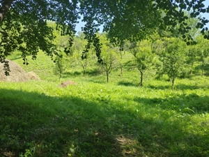 Teren intravilan 1035 mp cu parau, Breaza, Prahova