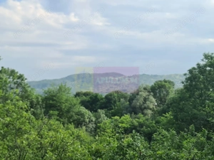 Vila de vanzare cu 6 camere in Cornu (teren 6.600 mp) - imagine 3