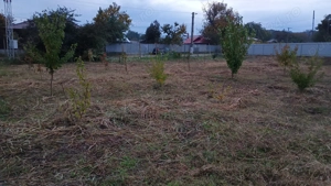 Teren intravilan in comuna Cîrligele jud Vrancea  - imagine 9