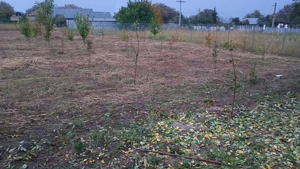 Teren intravilan in comuna Cîrligele jud Vrancea  - imagine 8