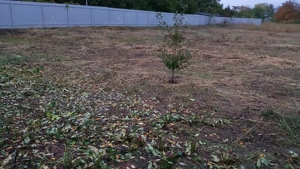 Teren intravilan in comuna Cîrligele jud Vrancea  - imagine 5