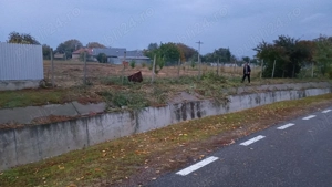 De vânzare teren intravilan in comuna Cîrligele jud Vrancea  - imagine 6