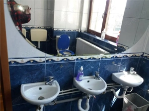 Vila 6 camere, inchiriere lunga durata, Calea Serban Voda, Bucuresti - imagine 9