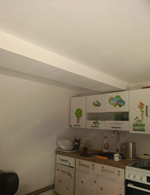 Vand casa de vacanta traditionala in satul natal a Lui Avram Iancu - imagine 9