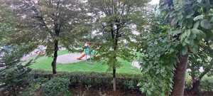 De vanzare 3 camere Racadau - Parcul Trandafirilor  - imagine 9