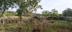   Casă de Poveste în Șiria, Arad- Locație Rară - imagine 15