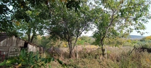   Casă de Poveste în Șiria, Arad- Locație Rară - imagine 13