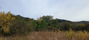   Casă de Poveste în Șiria, Arad- Locație Rară - imagine 12