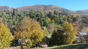 Teren 3600 mp langa Piatra Neamț, la 5 km de Shopping City - imagine 7