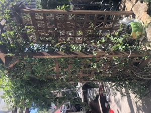 Vanzare casa duplex Suceava utracentral