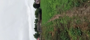 Vând teren din grădina  - imagine 3 Vând teren din grădina  - imagine 3