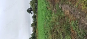 Vând teren din grădina  - imagine 4 Vând teren din grădina  - imagine 4