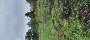 Vând teren din grădina  - imagine 6 Vând teren din grădina  - imagine 6