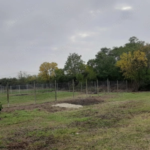 Teren intravilan într-o comună din județul Timiș - imagine 2