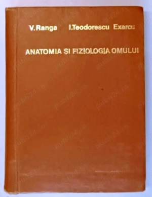 anatomia si fiziologia omului de ranga teodorescu exarcu cartonata editura medicala 1969 