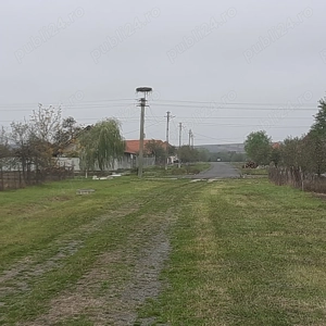 Teren intravilan într-o comună din județul Timiș - imagine 3