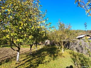 Casa de vânzare - imagine 5