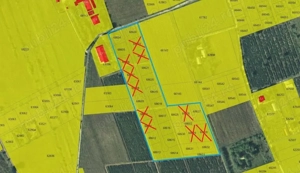 Șorogari Aroneanu parcele teren direct propietar