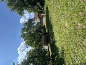 Casă de vânzare Ilba - imagine 2