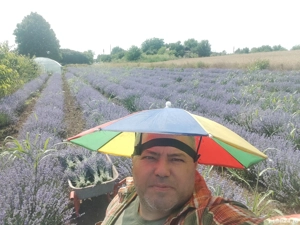 vand saculeti cu lavanda uscata - imagine 3