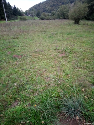 vind teren Extravilan in loc Ponorel  jud.Alba