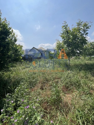 5200 mp intravilan - Str Viitorului (zona Abator) - imagine 4 5200 mp intravilan - Str Viitorului (zona Abator) - imagine 4