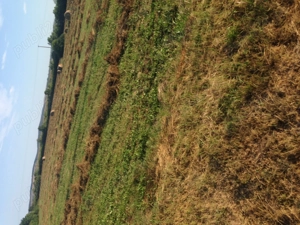 Teren intravilan de vanzare - imagine 5