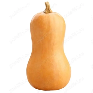 dovleac placintar de gradina bio