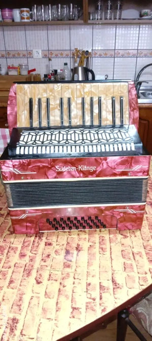 Acordeon copii 