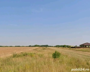 Teren intravilan Sag - imagine 2