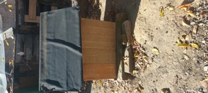 Cusca de caine  - imagine 3