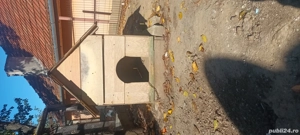 Cusca de caine  - imagine 2