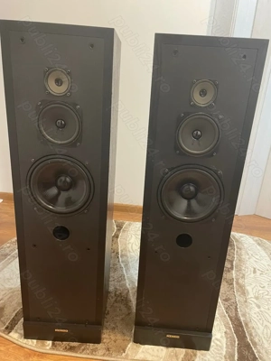 Boxe Kendo - imagine 2