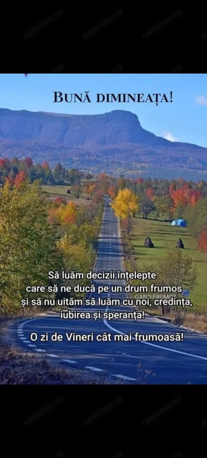 Vind construcție nouă, 19 garsoniere,camere pentru închiriat.