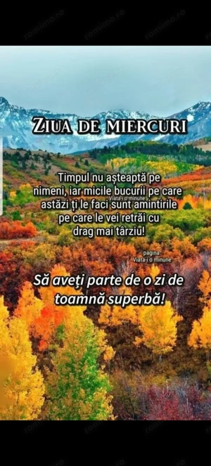 Vind construcție nouă, 19 garsoniere,camere pentru închiriat. - imagine 5