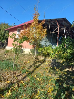 Casa bătrânească loc. Chiraftei 2100mp