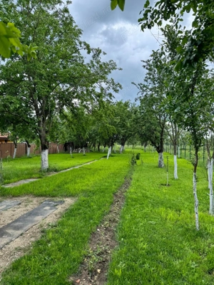 Teren Preajba Mare - imagine 3