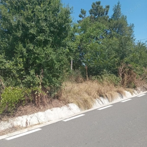 teren 1200 mp cu casa 80 mp Rasmiresti TR - imagine 6