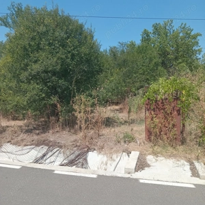 teren 1200 mp cu casa 80 mp Rasmiresti TR - imagine 7