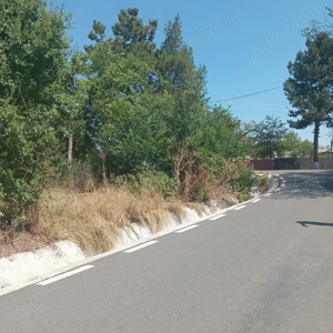 teren 1200 mp cu casa 80 mp Rasmiresti TR - imagine 5