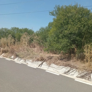 teren 1200 mp cu casa 80 mp Rasmiresti TR - imagine 4